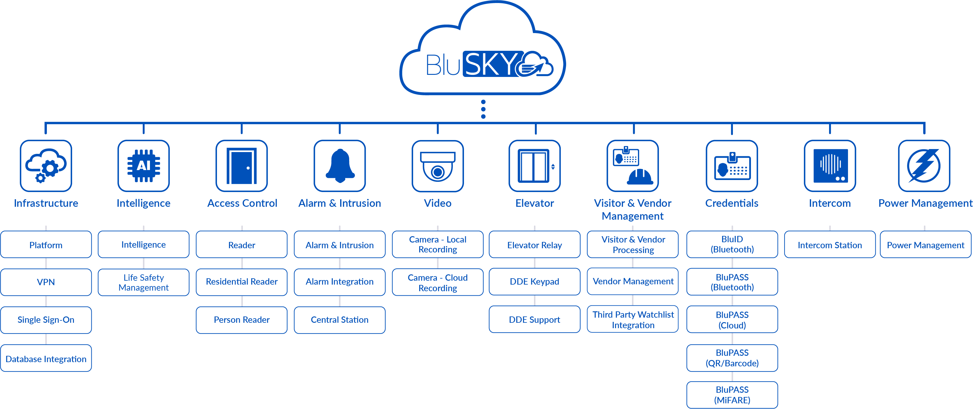 BluSKY_Licenses_2018_1.jpg